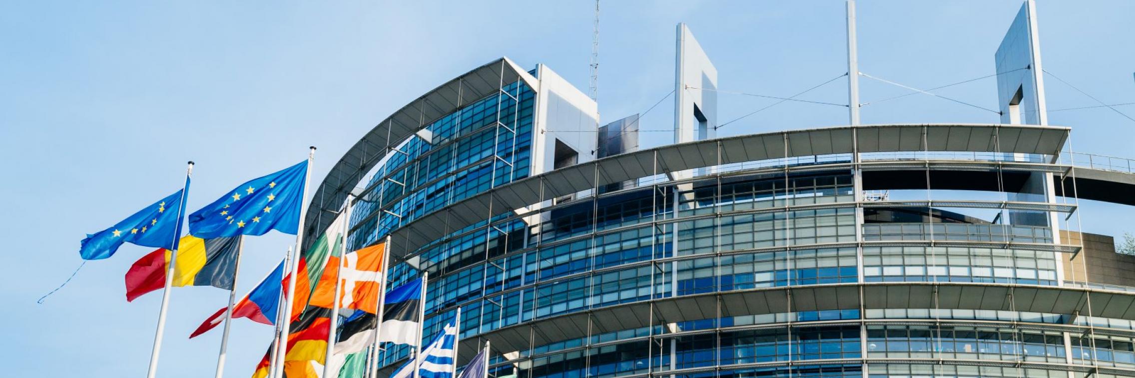 eu flags