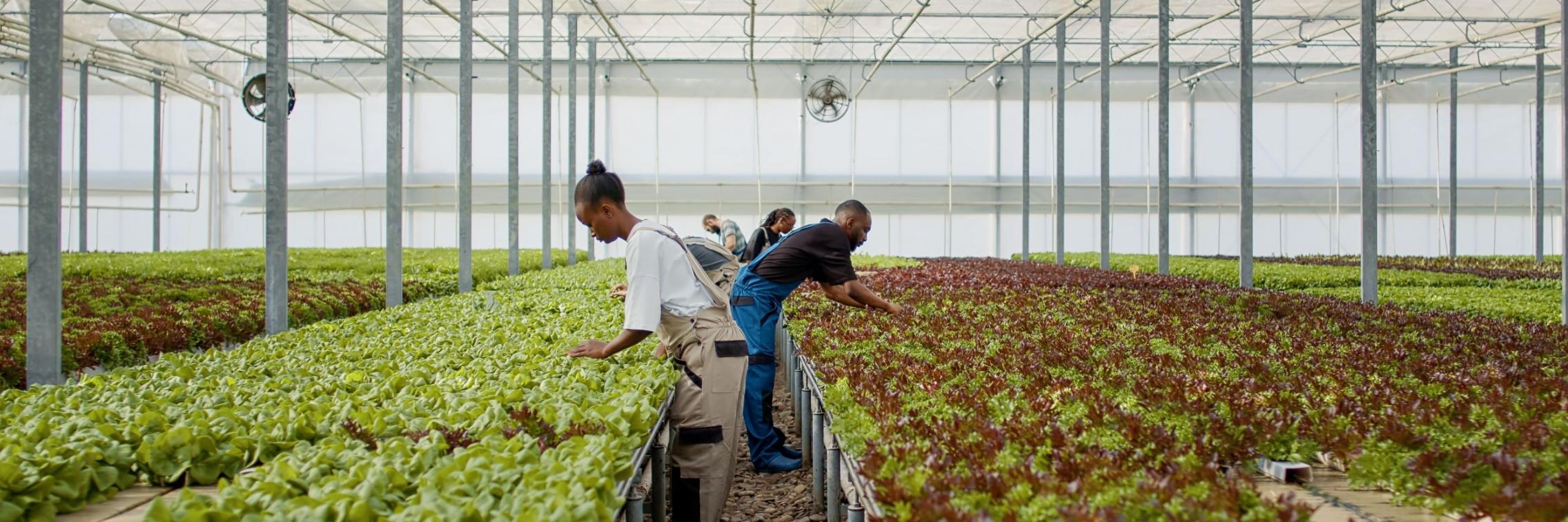 agriculture