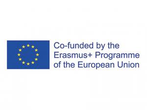 EU Logo