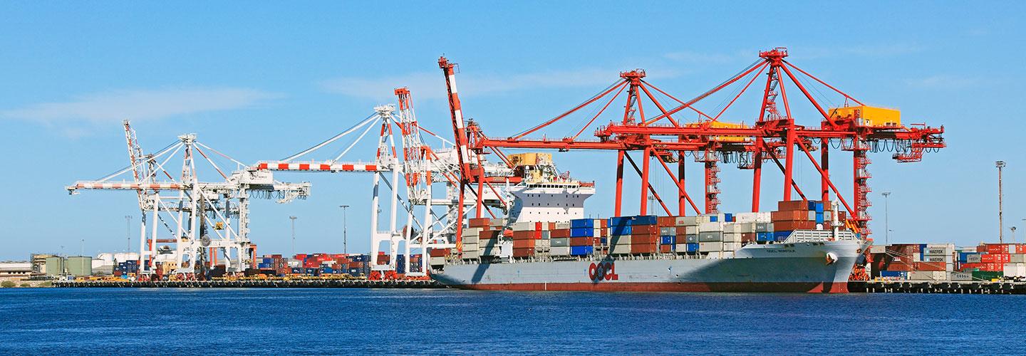 Trade exports