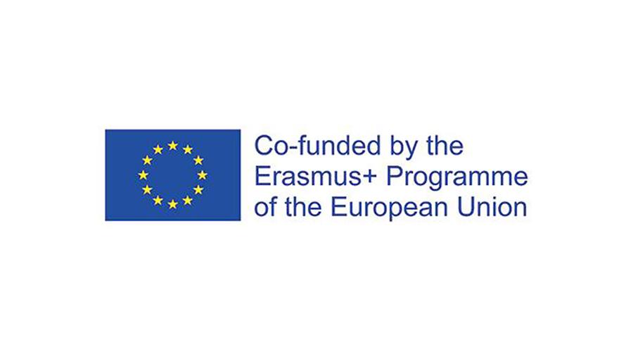 EU Logo