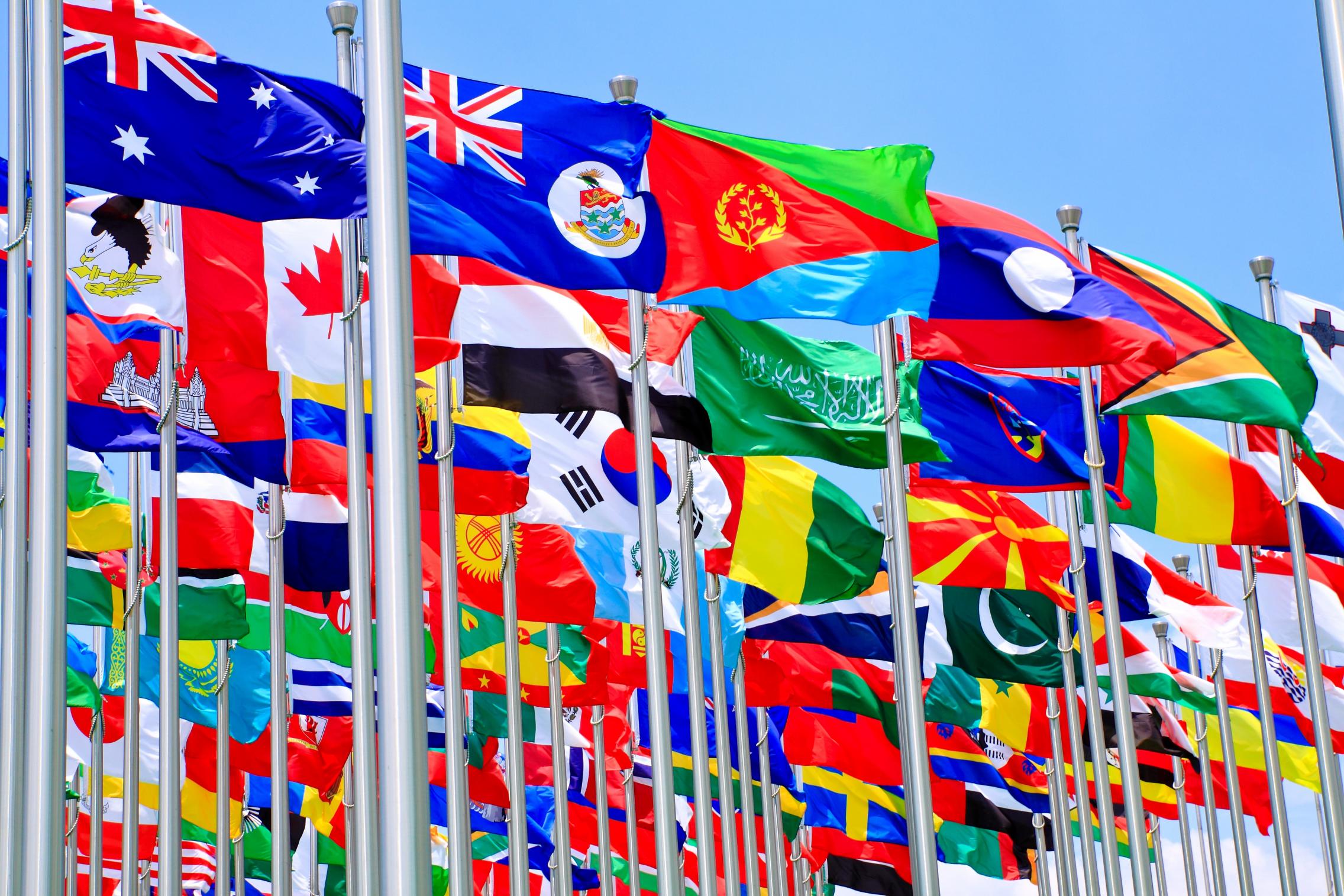 Commonwealth Flags