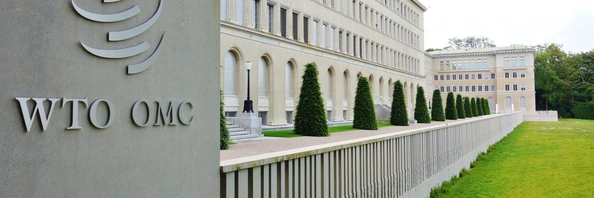 Crisis WTO Appellate