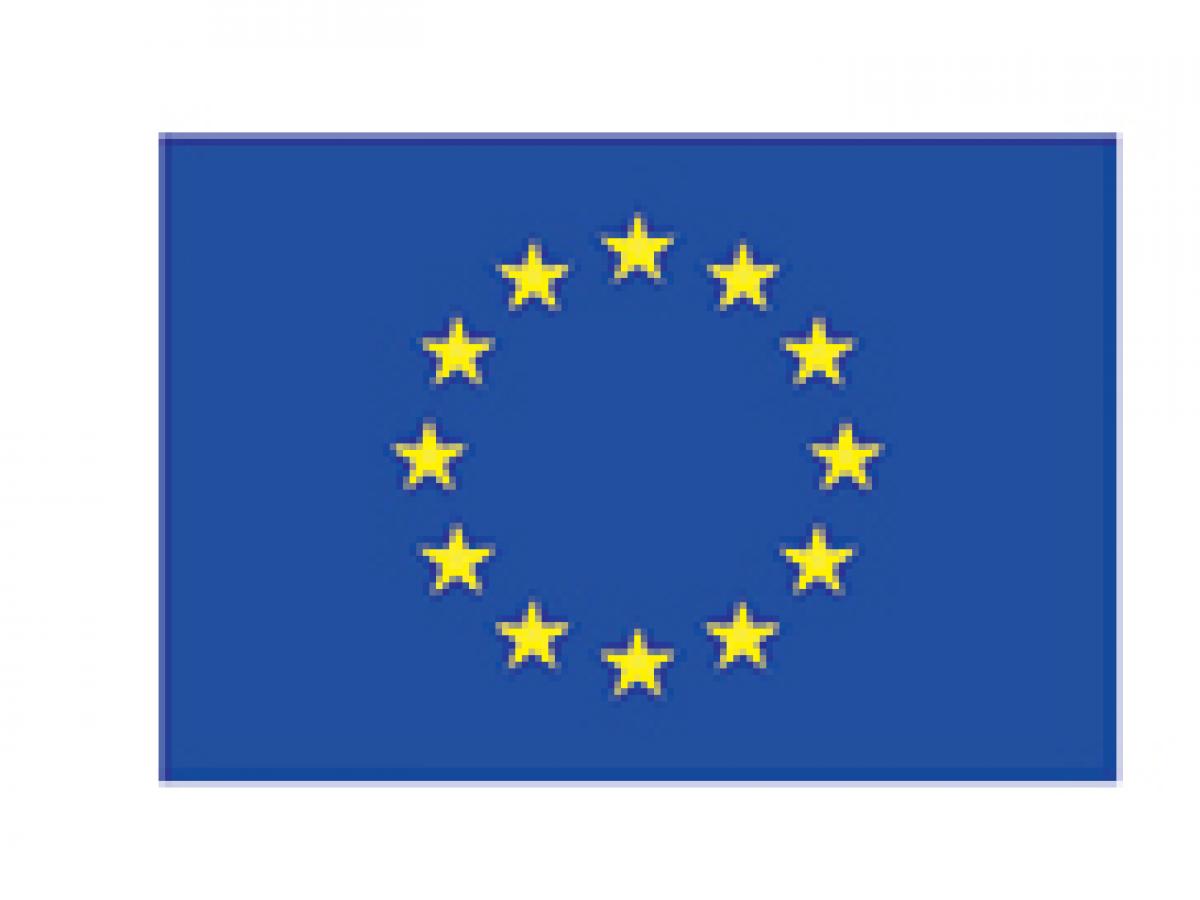 EU logo