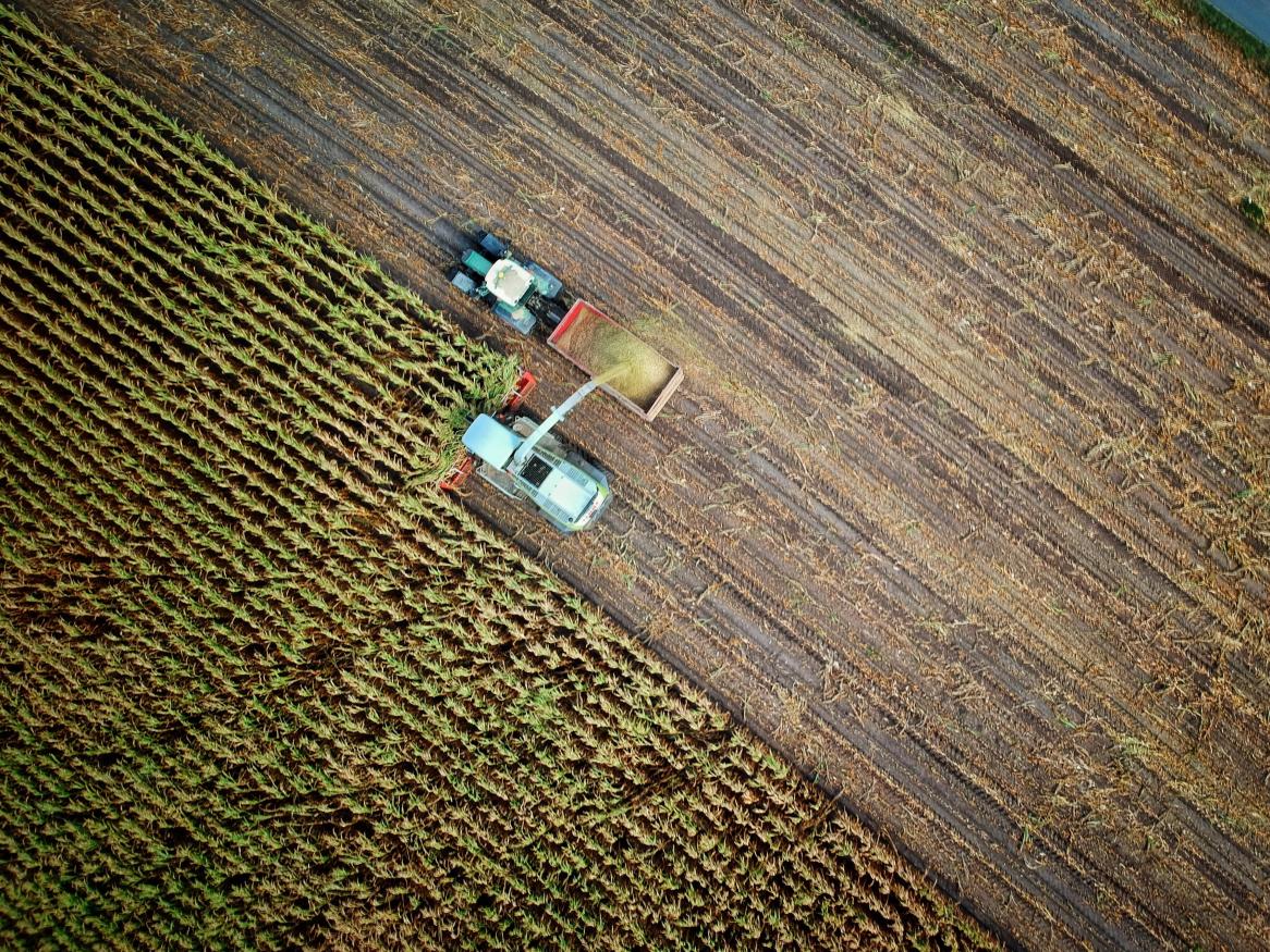 Crop Harvesting