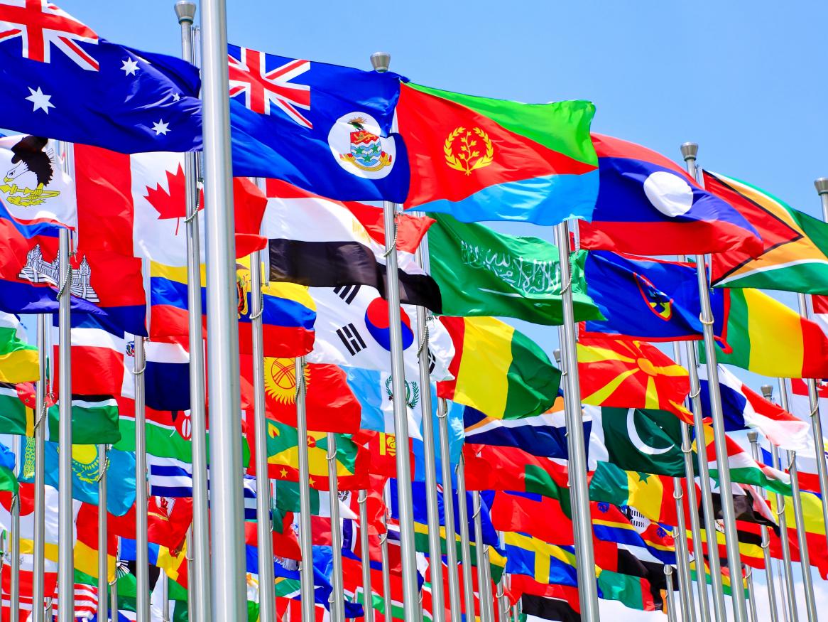 Commonwealth Flags 