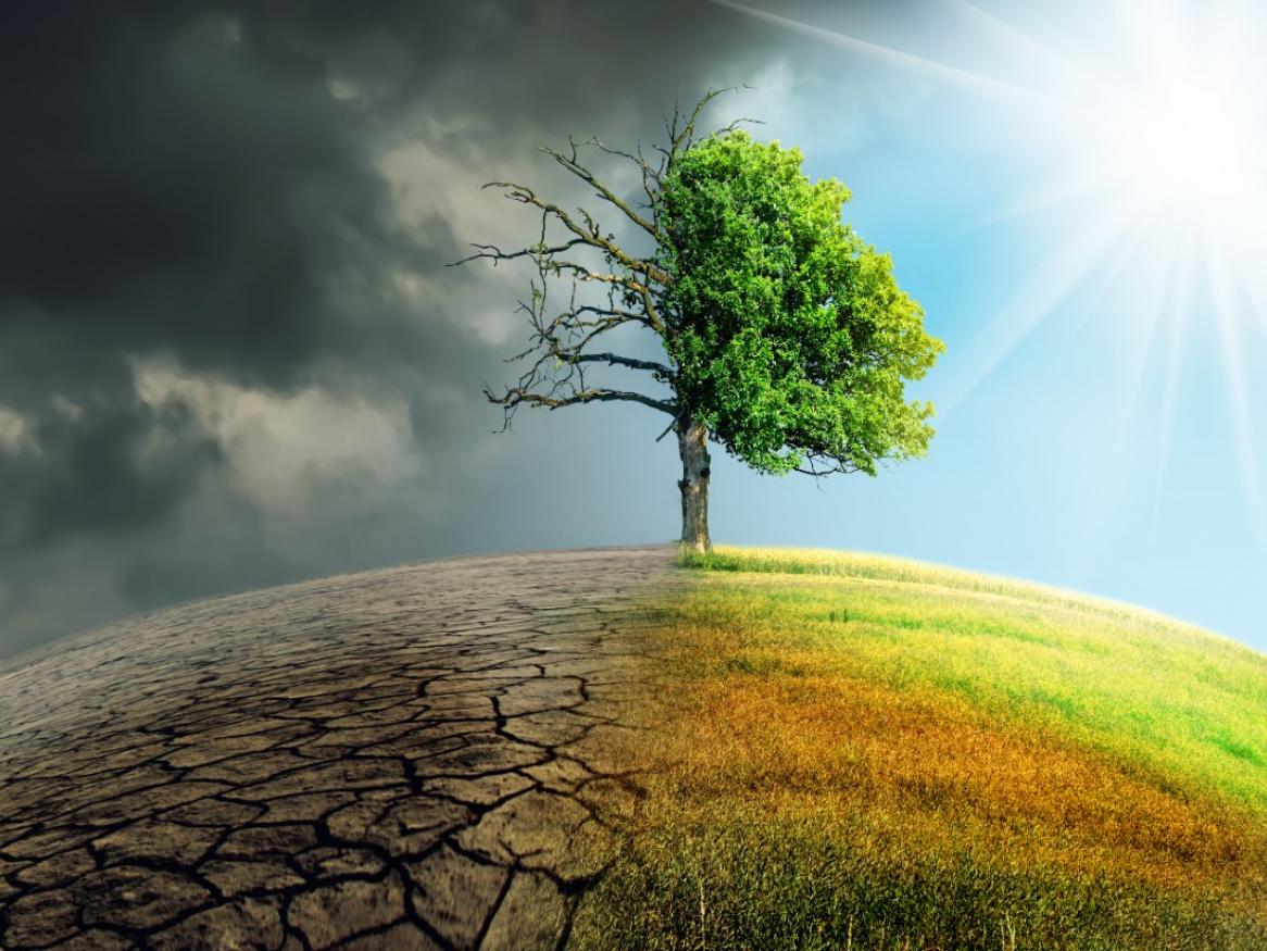 Climate Change