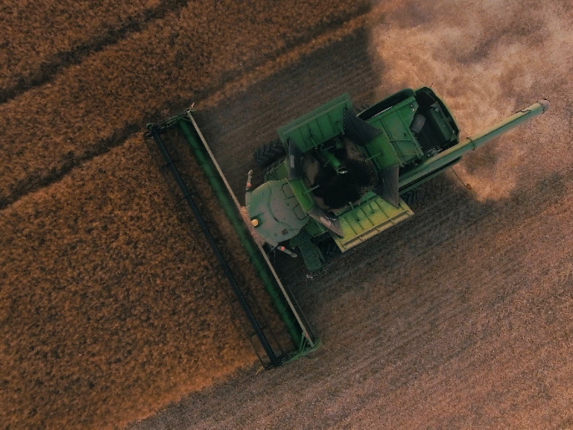 Global Food Systems