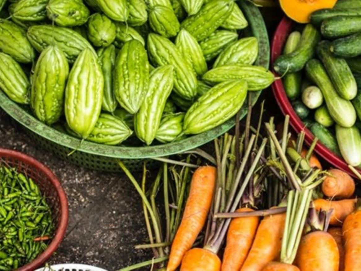 Agriculture 