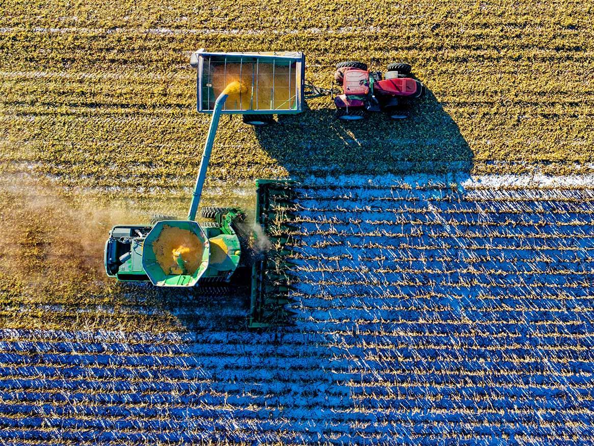 Building a case for agriculture subsidies reform