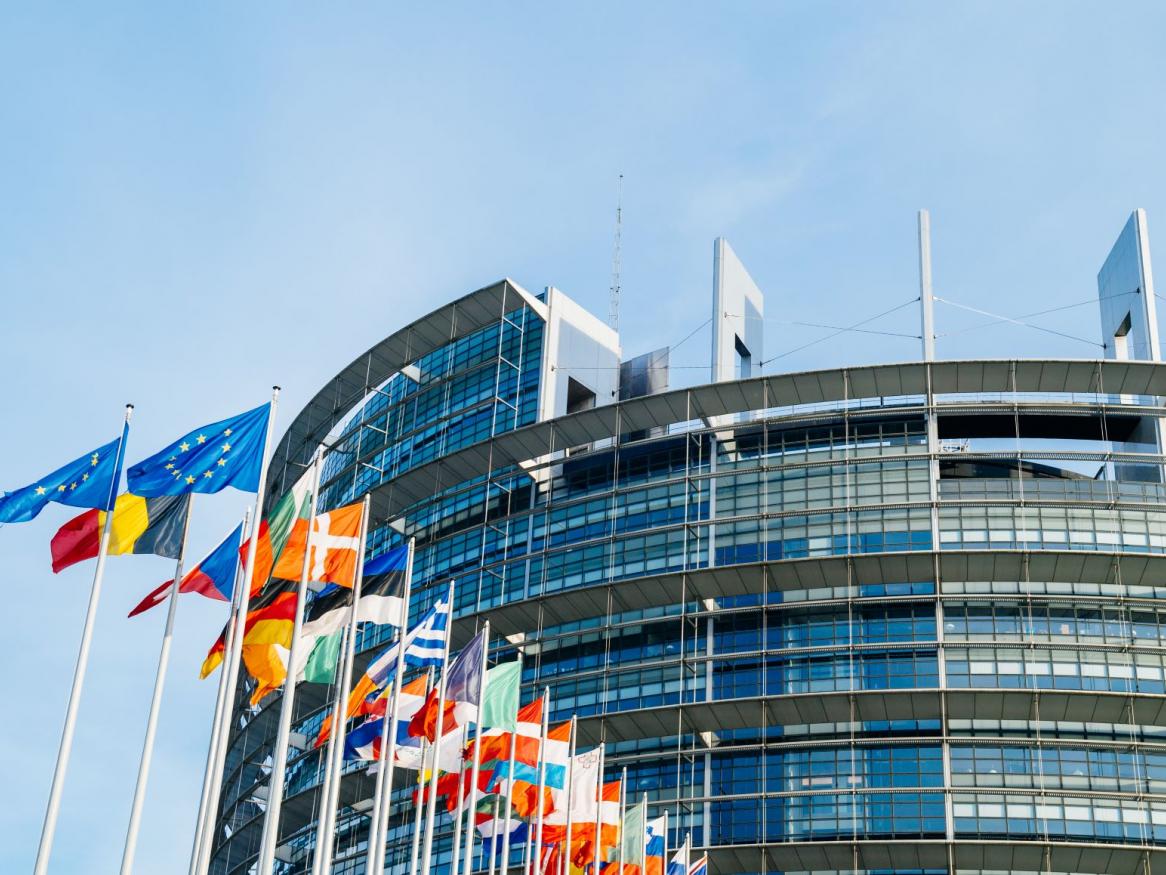 eu flags
