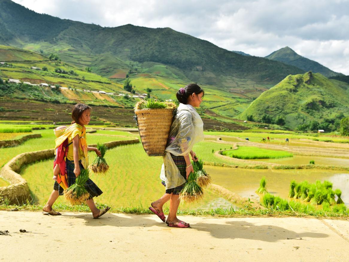 Developing Countries